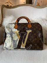 Louis Vuitton Speedy 30 Golden Arrow Tasche – EM CHANGE Boutique: pre-loved  bags